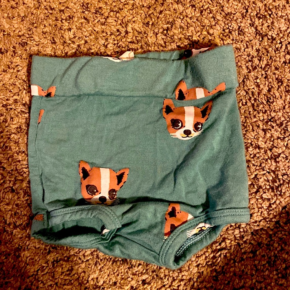 Kate Quinn organic bamboo chihuahua bummies